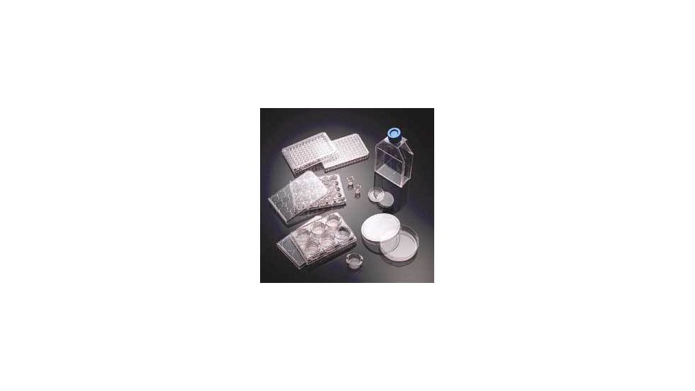 BD BioCoat Cellware, Collagen Type IV, BD Biosciences 354459 Culture Dishes 35 Mm