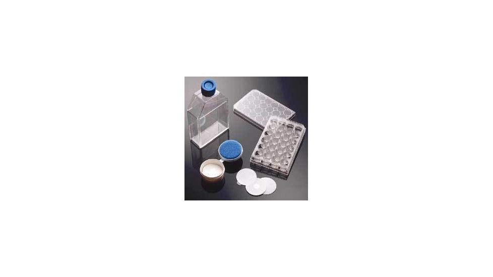 BD BioCoat Cellware, Poly-Lysine, BD Biosciences 356461