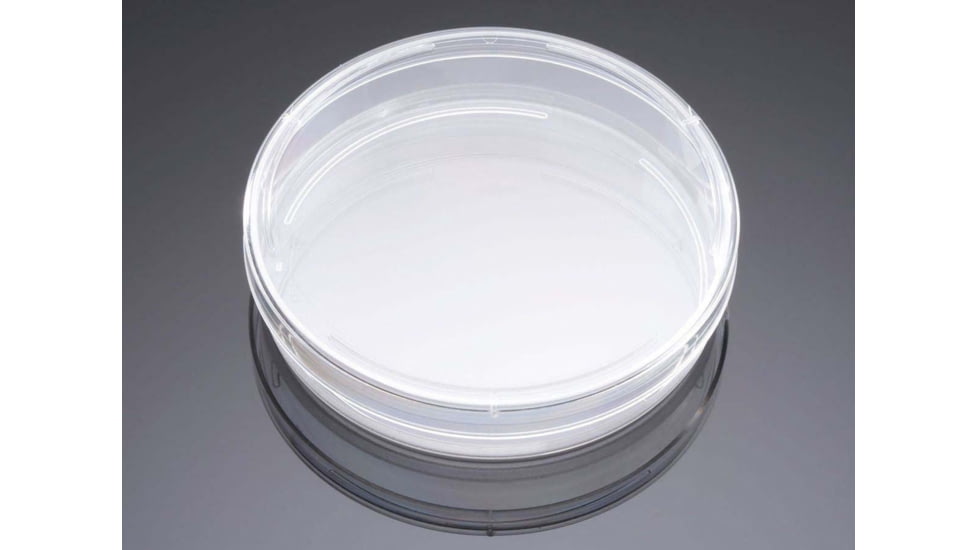 BD Dish Amine 100mm 10/pack 10/ca 354732, Unit CS