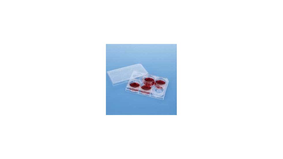BD Falcon Cell Culture Companion Plates for Inserts, Sterile, BD Biosciences 353504