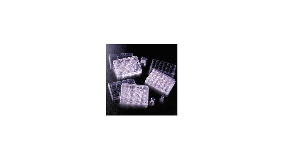 BD Falcon Cell Culture Inserts, Sterile, BD Biosciences 353092 Translucent Inserts