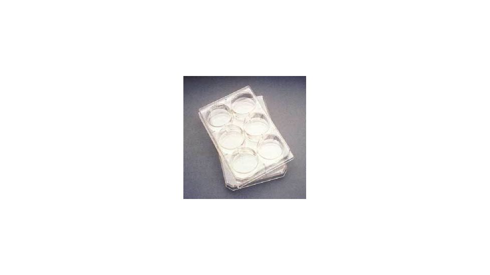BD Falcon Multiwell Flat-Bottom Plates with Lids, Sterile, BD Biosciences 353078