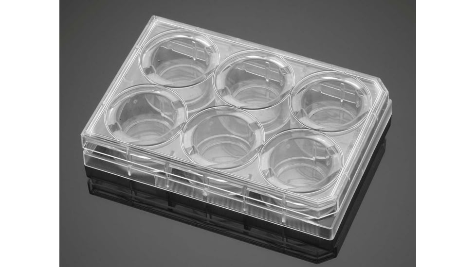 BD Plate Amine 6-well 356721, Unit CS