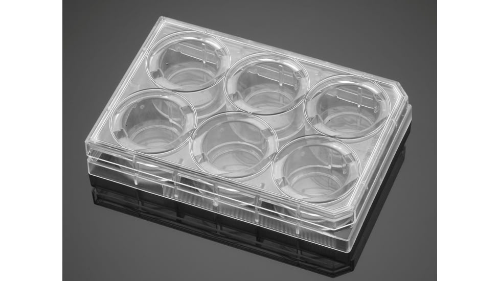 BD Plate Carboxyl 6-well 354773, Unit CS