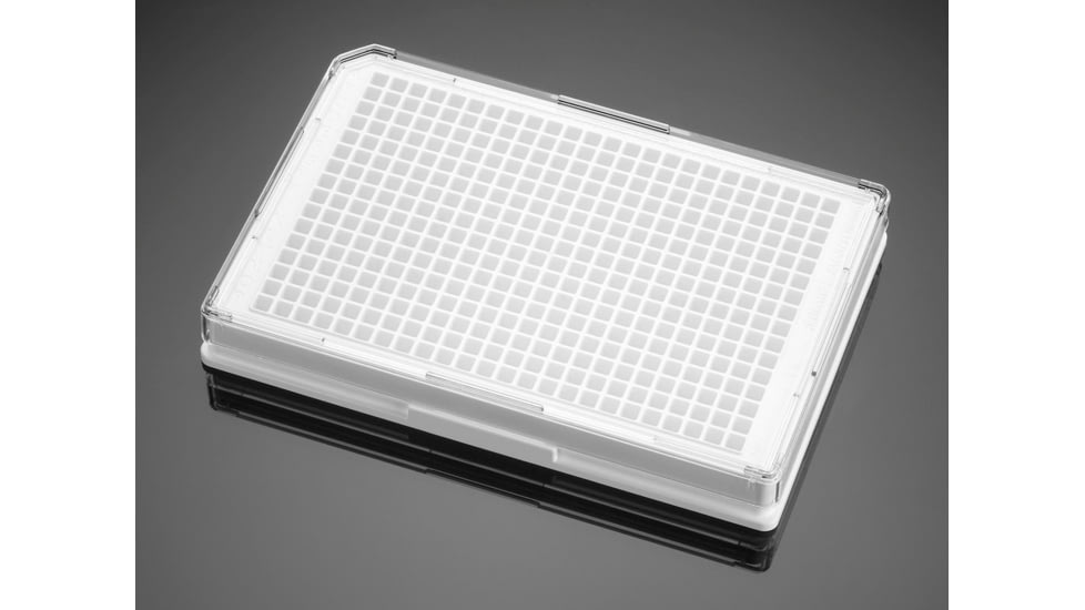 BD Plate Coll I 384W Wht CS5 354665