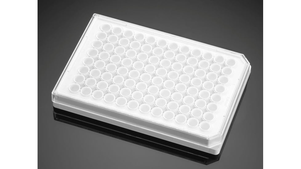 BD Plate Pdl 384W Wht Sp Ro CS5 354661