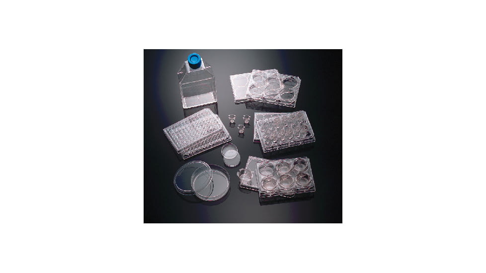 BD Dish Poly D Lysine 100MM CS10 354455