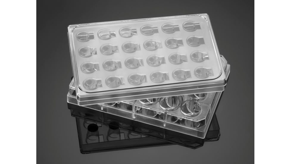 BD System Tumor Invasion 24WL 354165