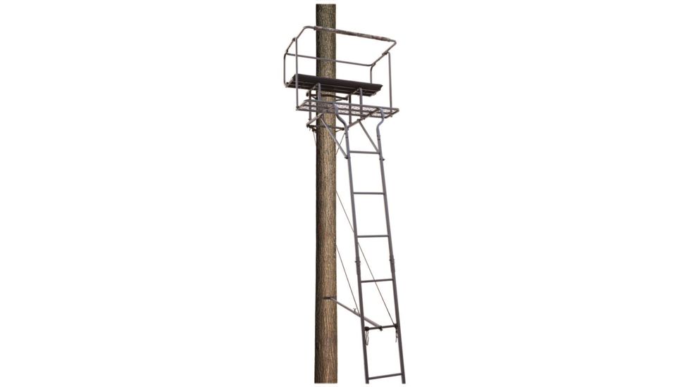 Big Dog Big Bud Ladder Stand, Two Man 15 ft. BDL-405