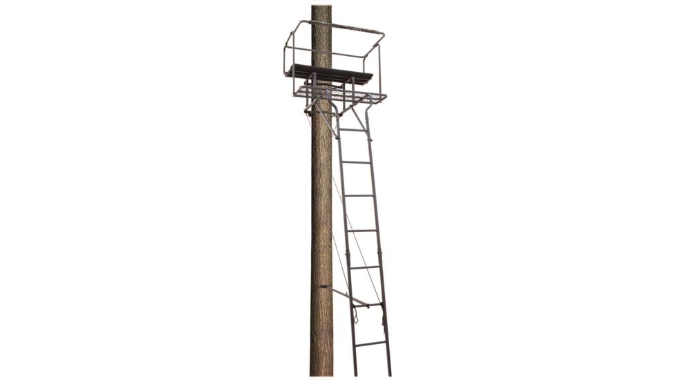 Big Dog Big Bud Ladder Stand, Two Man 18 ft. BDL-455