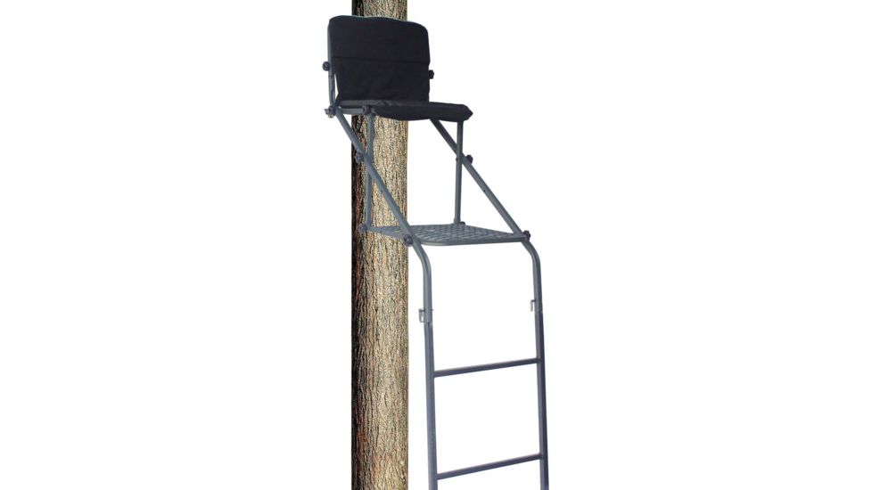 Big Dog Convertible Ladder Stand, Black, BDL-111C