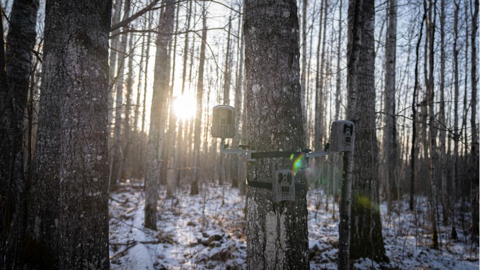 BOG Clandestine 18MP Game Camera, Camo, 1116327