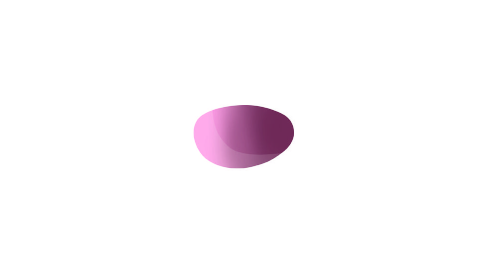 Bolle Bolt RL Pair, Photo Rose Gun Lens Replacement 50336