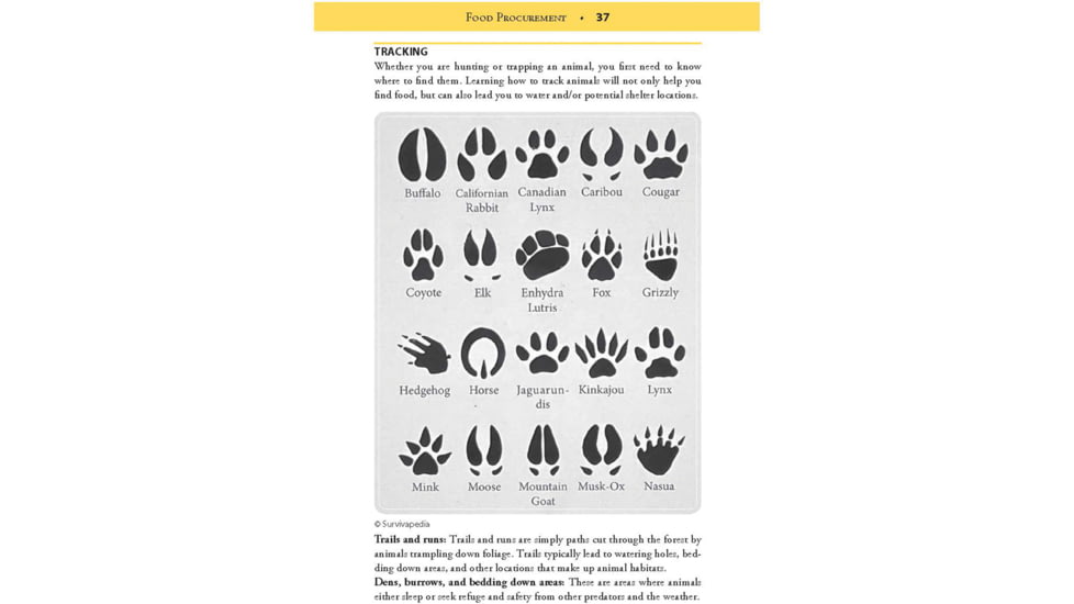 Books Green Beret Bushcrafting Guide, By Brian M. Morris, 184 Page Paperback, 978-1-5107-7145-1