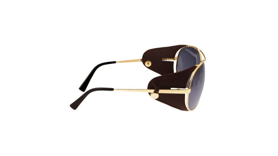 Breed Sunglasses Eclipse Sunglasses, Gold / Black BSG048BN