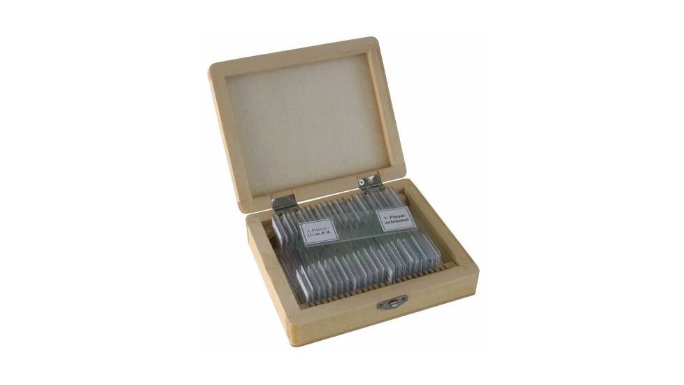 Bresser 25 Permanent preparations, Biology 5986001