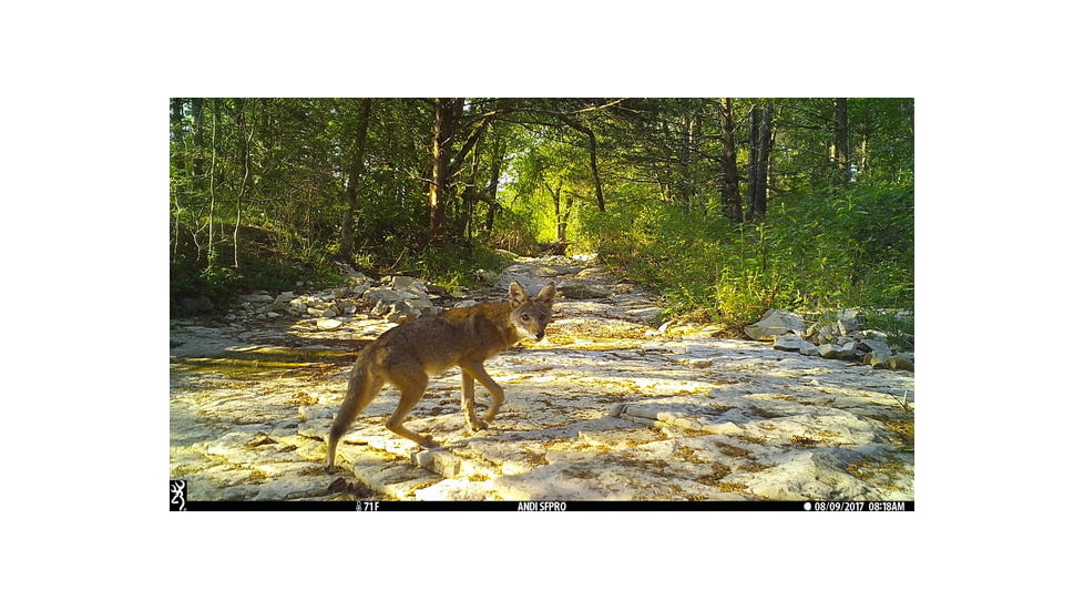 Browning Trail Cameras Dark Ops Pro-X 1080 Trail Camera, BTC 6PX-1080