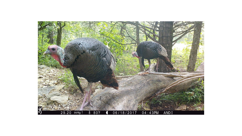 Browning Trail Cameras Dark Ops Pro-X 1080 Trail Camera, BTC 6PX-1080