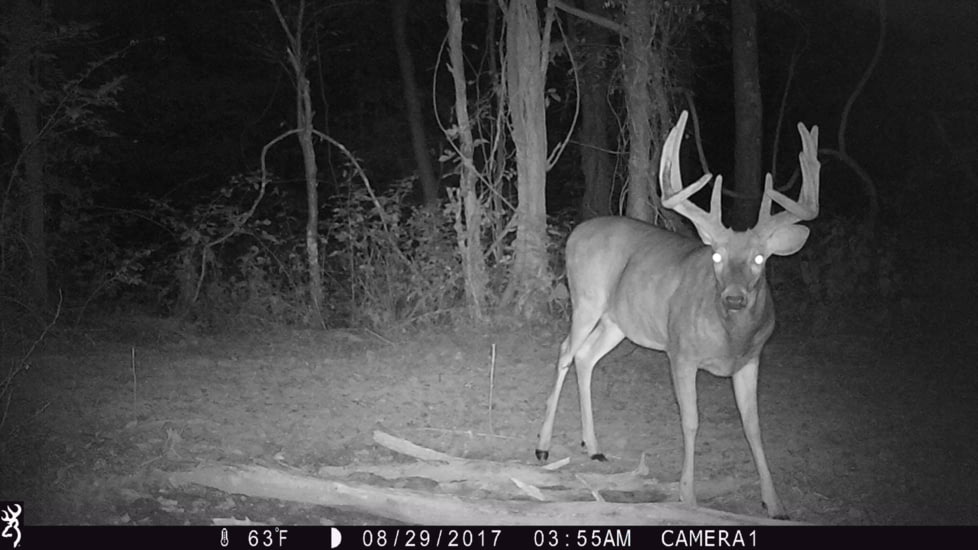 Browning Trail Cameras Strike Force Hd Max, Camo, BTC-5HD-MAX