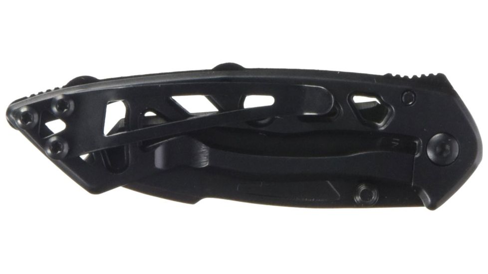 Buck Knives Bones Large Folding Knife, 3 in, 420HC, Tanto, Stainless Steel, Black, 0870BKXB/3595