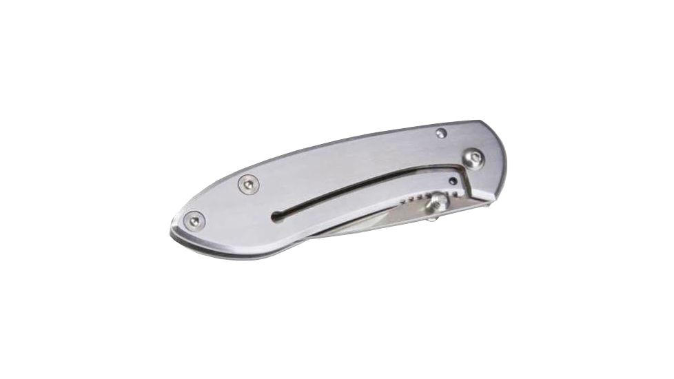 Buck Knives Colleague Stainless Handle 0325SSS