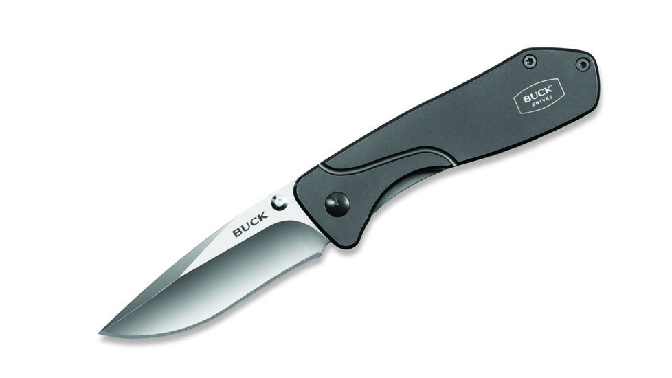 Buck Knives Lux Folding Knife,2.75in Plain 420HC,Titanium Coated Handle 816TTS