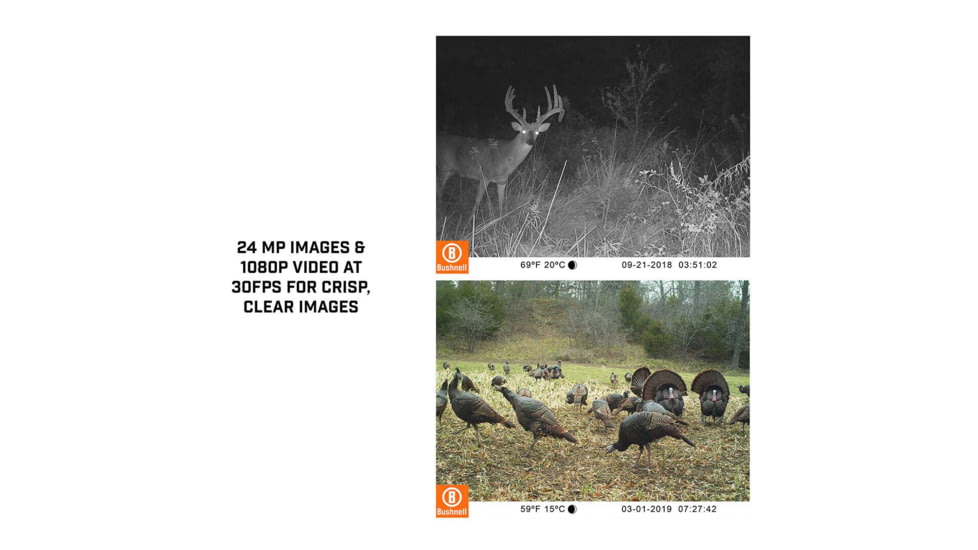 Bushnell Single Core Trail Camera, 20MP, Low Glow, Box, Brown, 119936C