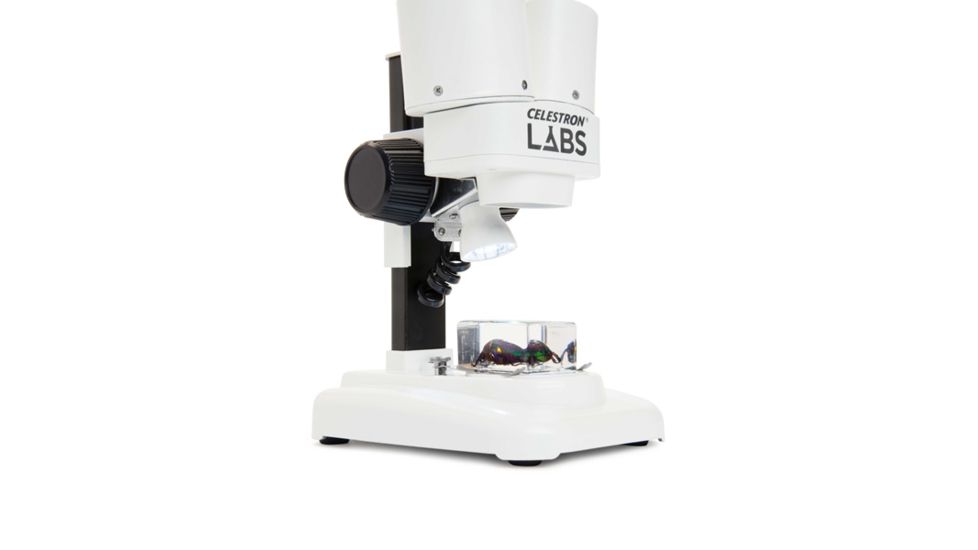 Celestron Labs S20 Stereo Microscope,10x Eyepieces,2x Objective Lenses 44207