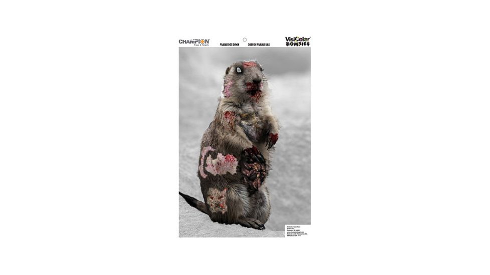 Champion Traps and Targets 46084 Zombie Visicolor Bulk Pack 50 Count Gopher