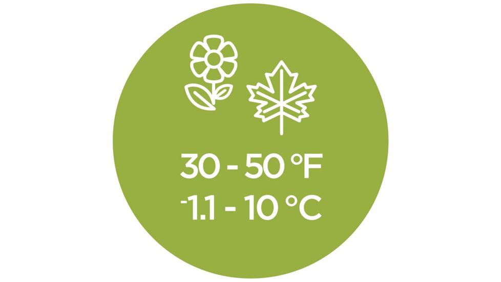 Coleman Autumn Glen 40 Sleeping Bag, Green, 75 x 33 in 2000029007