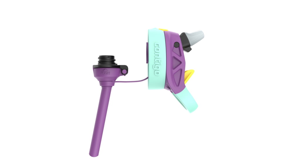Contigo Asclnbl PP Bottle, 14 oz, Grape Mermaids, 14, CTPLASCLN2514-17