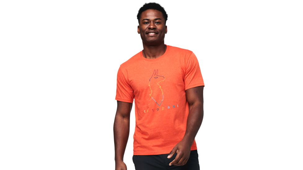 Cotopaxi Topo Llama T-Shirt - Mens, Canyon, Large, TS-S22-TLL-CYN-M-L