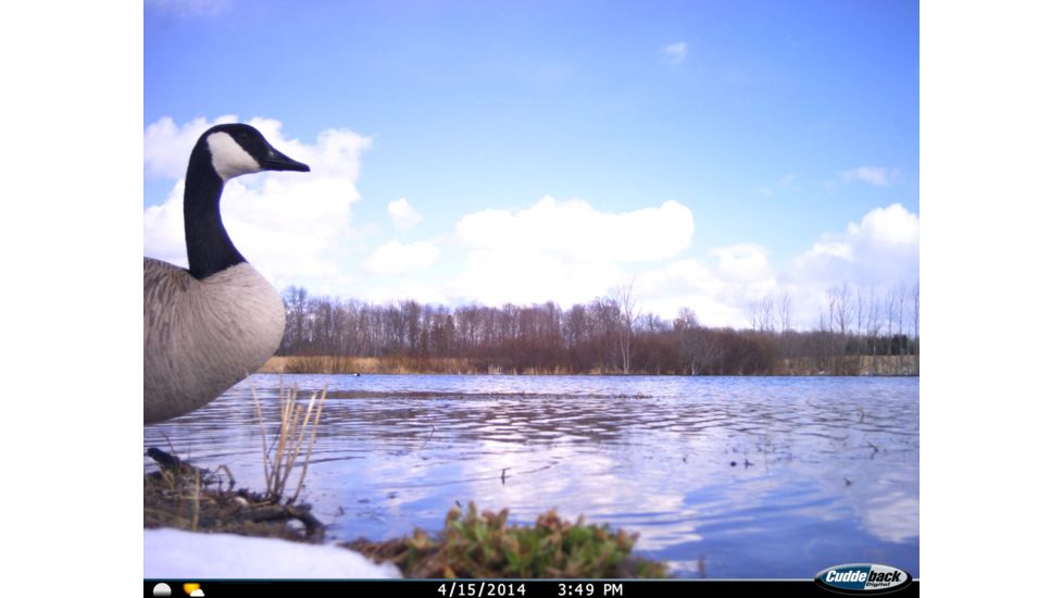 Cuddeback C2 Long Range Video Camera 20 MP Brown