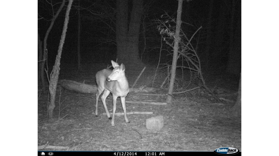 Cuddeback C2 Long Range Video Camera 20 MP Brown