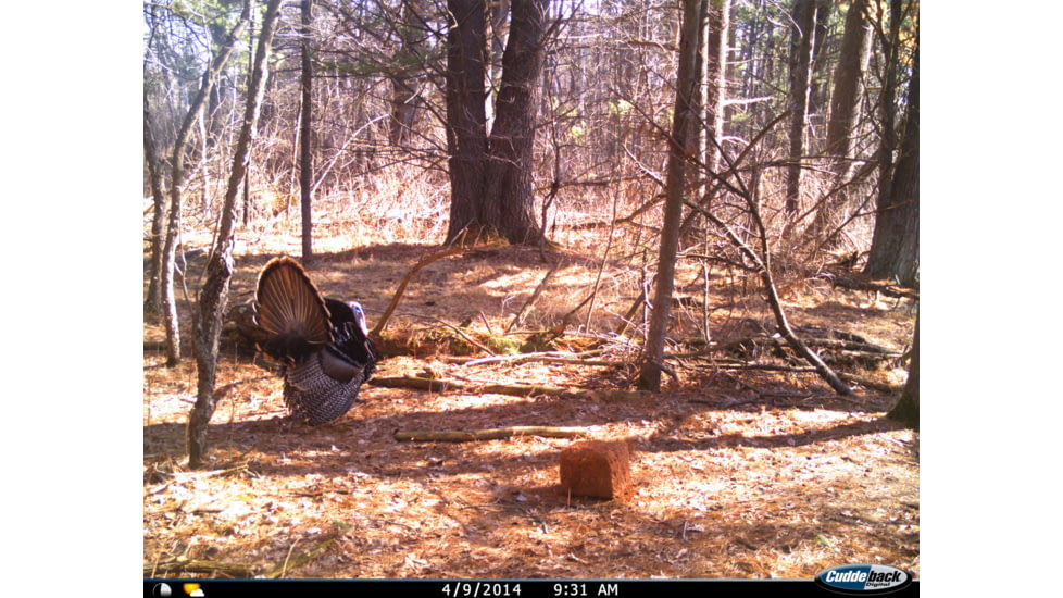 Cuddeback C2 Long Range Video Camera 20 MP Brown