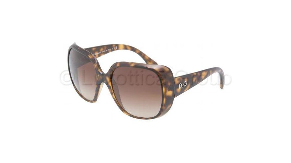 D&amp;G DD8087 Sunglasses 502/13-5718 - Havana Brown Gradient