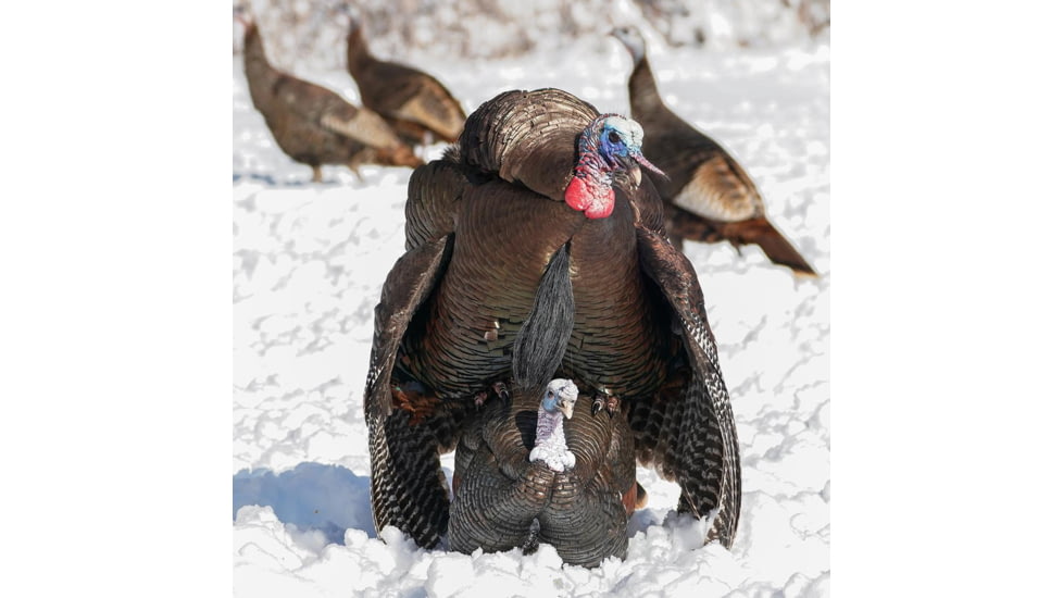Dave Smith Decoys 3/4 Strut Jake Decoy