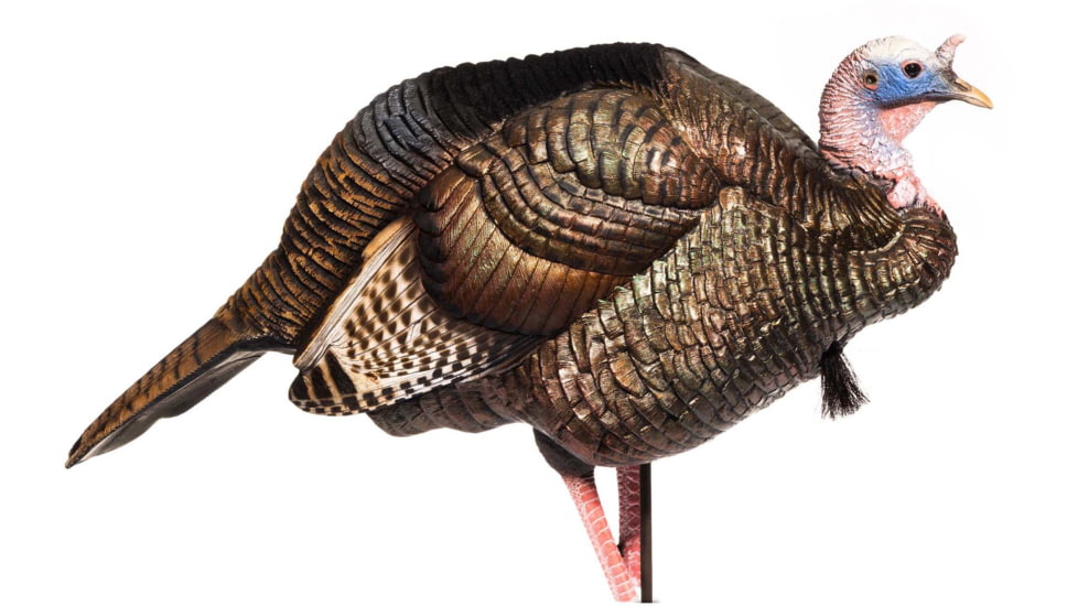 Dave Smith Decoys 3/4 Strut Jake Decoy
