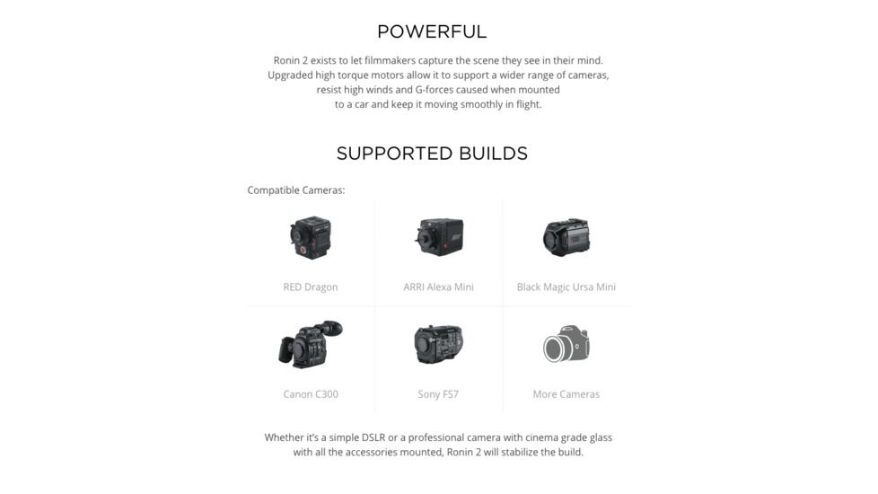 DJI Innovations Ronin 2 Basic Combo, Black, CP.ZM.00000074.01