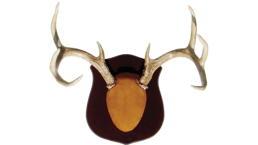 Dead Deer Cam1true Classic Antler Mount