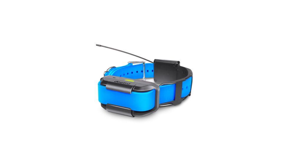 Dogtra PATHFINDER RX Additional Training Collar and GPS, Blue PATHFINDER RX BLUE