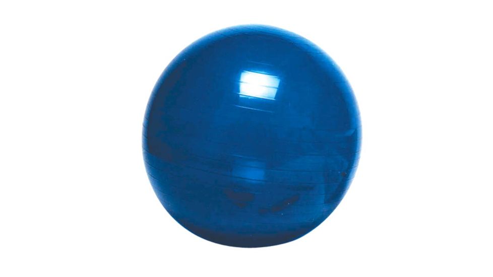 Dynaflex Fitness Ball w/o DVD