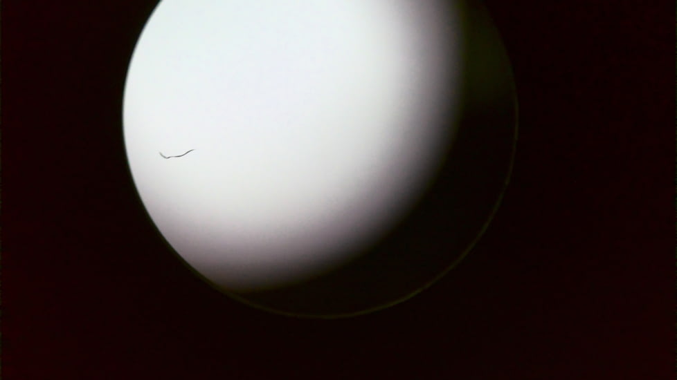 EDEMO Hawke Sport Optics LRF 400 LCD 6x21 Laser Rangefinder, Black, 41020, EDEMO1