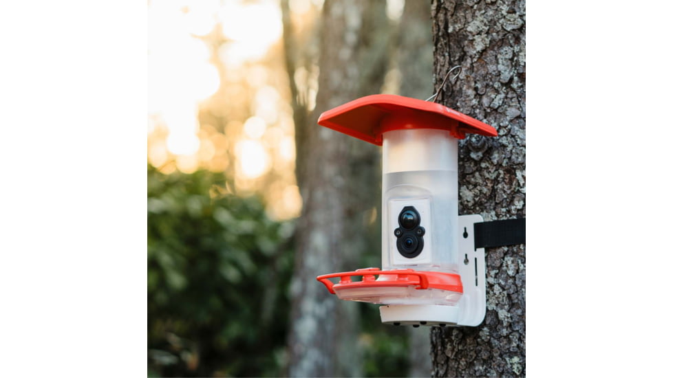 FeatherSnap Hummingbird Gen 1 Camera, Black, FSHB001