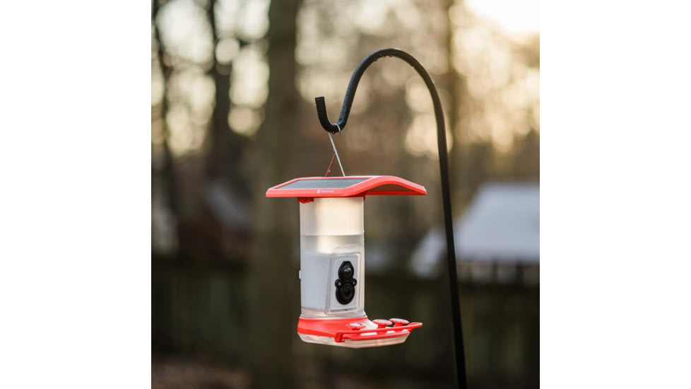 FeatherSnap Hummingbird Gen 1 Camera, Black, FSHB001