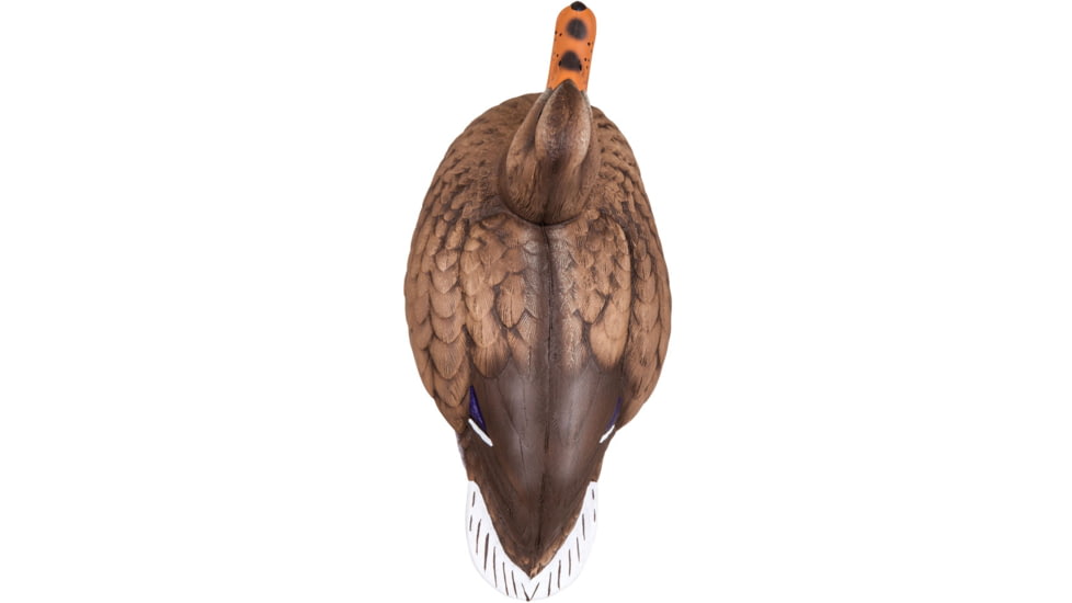 Flambeau Master Series Mallard Floater Decoys, Color 1 : Multi, 1812DPK