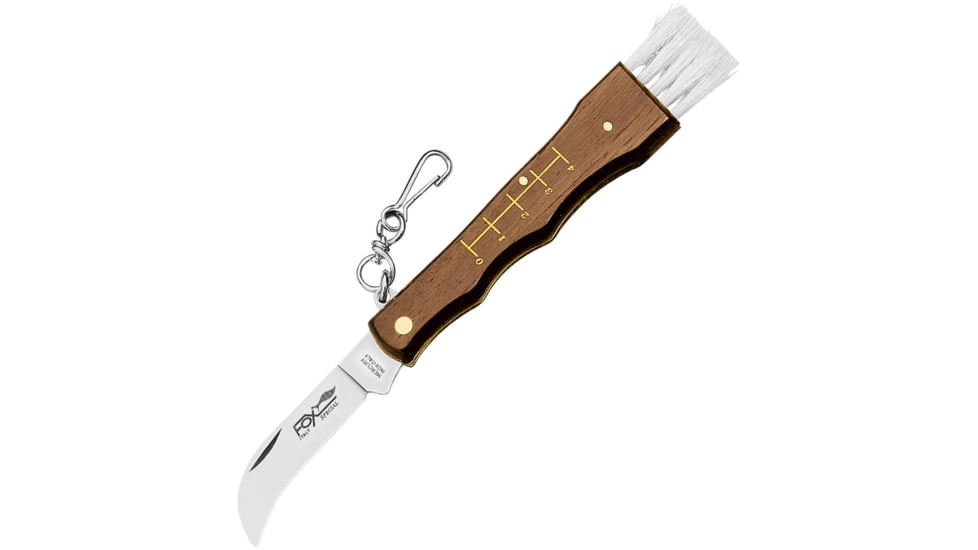 Fox Mushroom Knife, 2.75 mirror finish 420C stainless blade, Olive wood handle, 01FX192