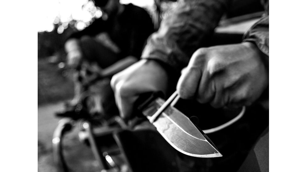 Gerber StrongArm Fixed Blade Knife, Coyote, Serrated, Coyote 30-001059, EDEMO1