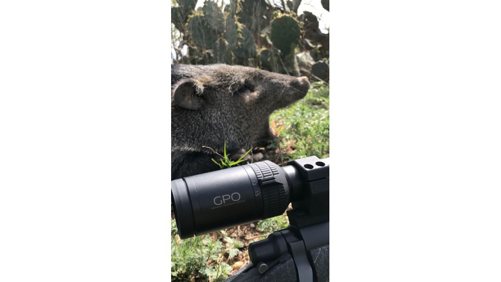 German Precision Optics GPO PASSION 6X 2.5-15x50i Rifle Scope, G4i Reticle, Black Matte R620