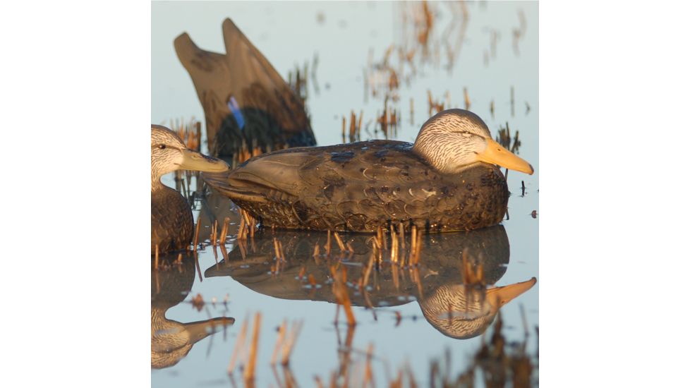 Greenhead Gear Over-Size Duck Decoy,Black Ducks,1/2 Dozen 73015